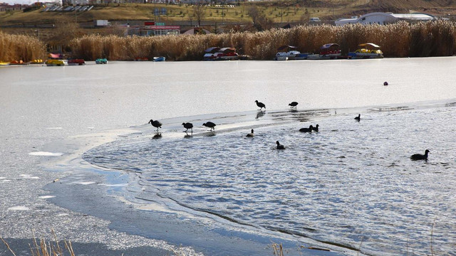 Mogan Gölü soğuk havaya dayanamadı!