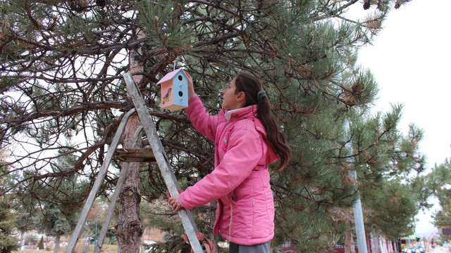 Öğrenciler harçlıklarıyla kuşlara yuva aldı