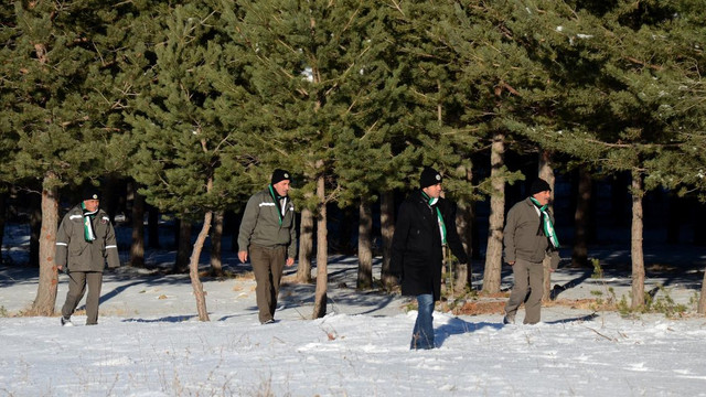 Ormanlarda "yılbaşı nöbeti" başladı