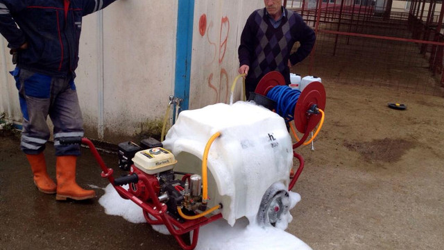 Sakarya'da şap karantinası