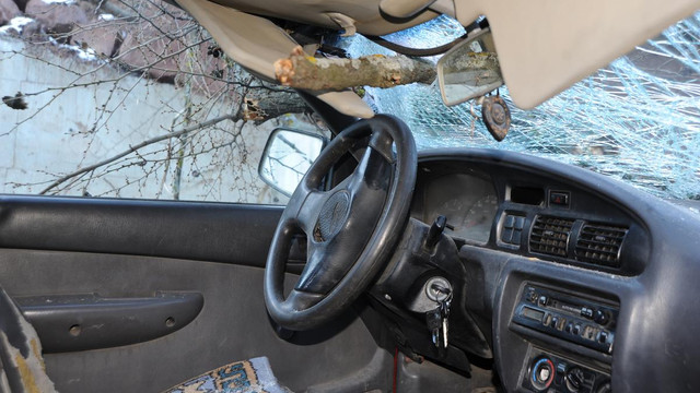 Seyir halindeki kamyonetin üzerine ağaç devrildi