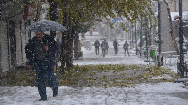 Siirt'te kar yağışı