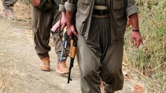 Hakkaride 1 terörist yakalandı