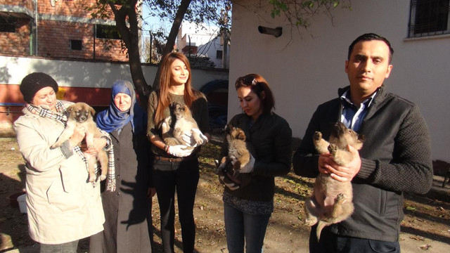 Sokak hayvanları için yemek artığı topluyorlar