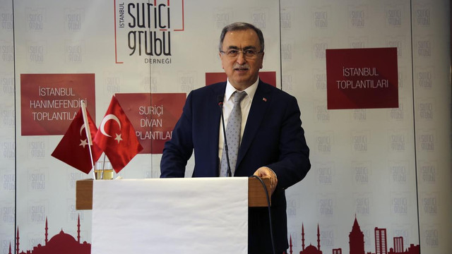 TBMM Anayasa Komisyonu Başkan Vekili Petek: