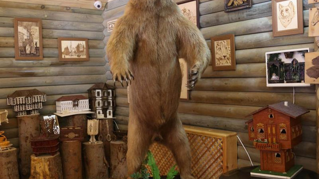 Telef olan boz ayı ölümsüzleştirildi