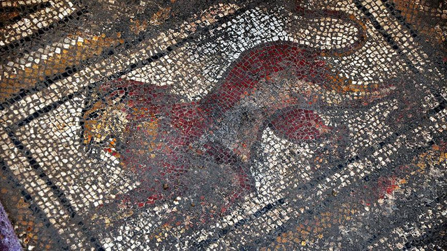 Osmaniyede sondaj çalışmasında Roma mozaiği bulundu