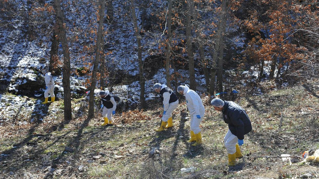 Tokat'ta kemik parçaları bulundu