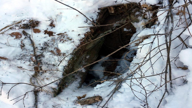 Tunceli'de terör operasyonu