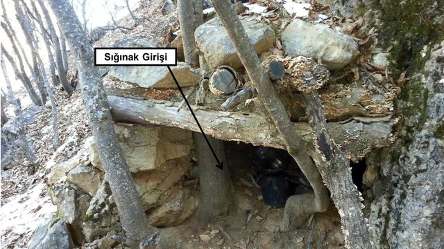 Tunceli'deki terör operasyonu