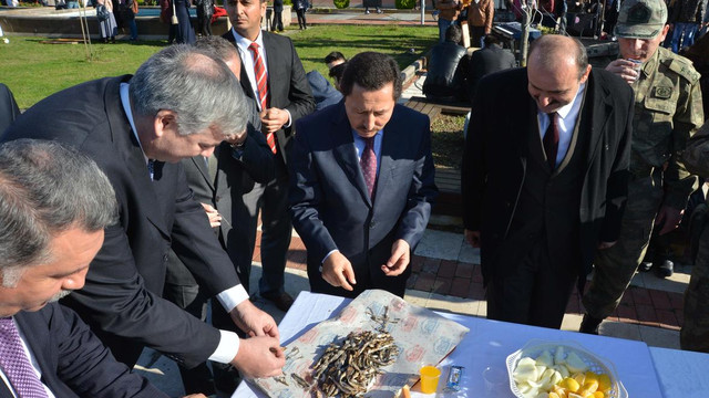 Üniversite öğrencileri 2 ton hamsi tüketti