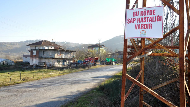 Zonguldak'ta şap karantinası