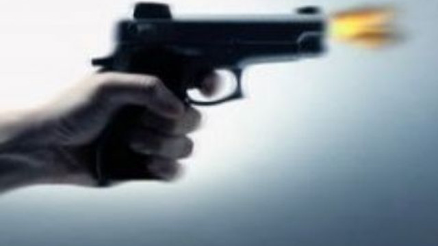 Tasmasız köpek cinayet işletti!