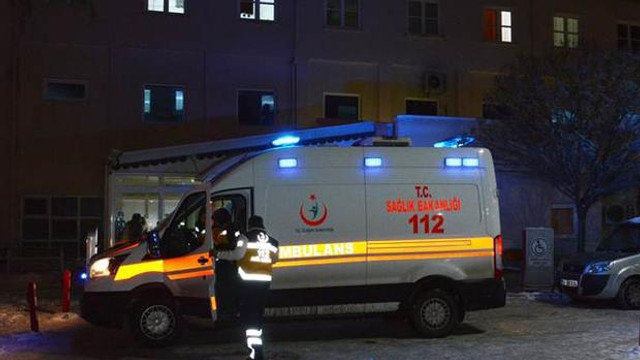 Domuz gribi geri mi dönüyor?