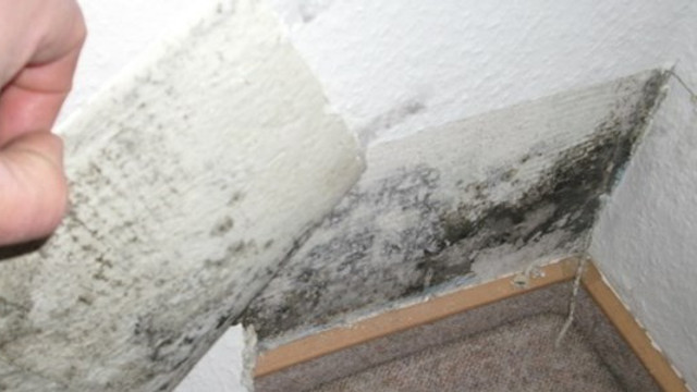 duvardaki rutubet lekeleri nasil temizlenir guncel