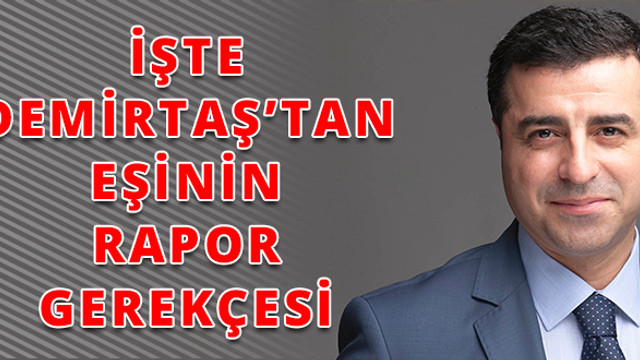 HDP Eşbaşkanı Demirtaşın eşi neden 774 gün rapor aldı?