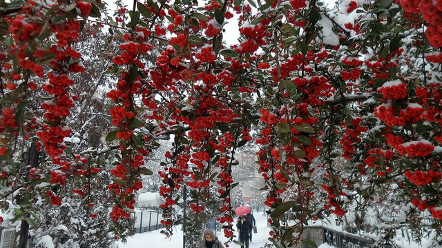 Bingöl'de kar tatili uzatıldı