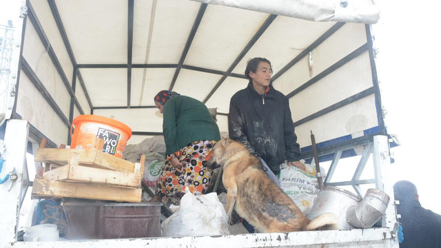 Çadırda kalan sığınmacılar evlere yerleştirildi