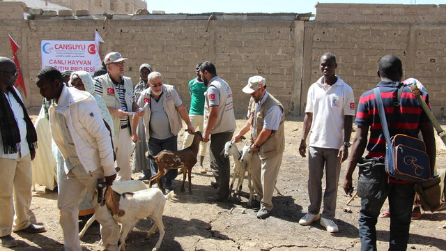 Cansuyu'ndan Afrika'da hayvan dağıtımı