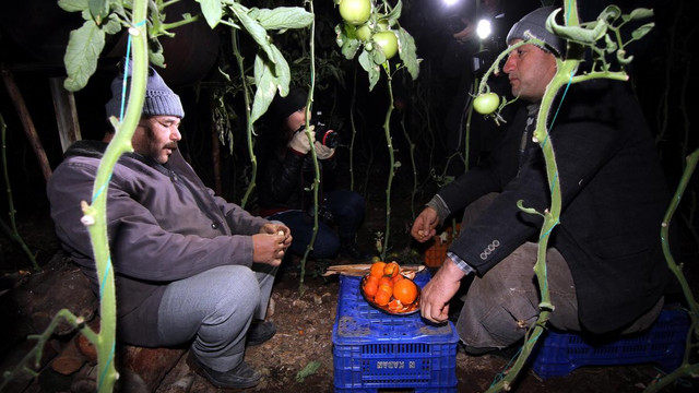 Çiftçilerden zirai don nöbeti