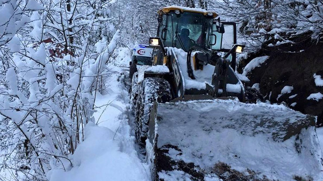 Doğu Karadeniz'deki kar yağışı