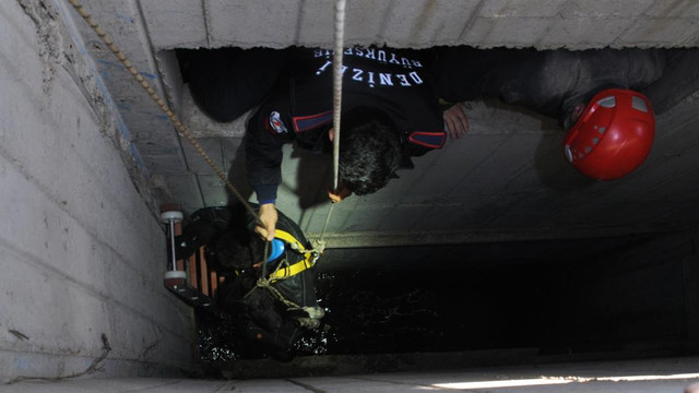 Havalandırma boşluğuna düşen köpekler için operasyon