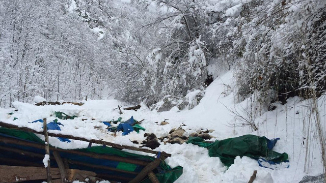 Kar nedeniyle ahır çöktü, 16 keçi telef oldu