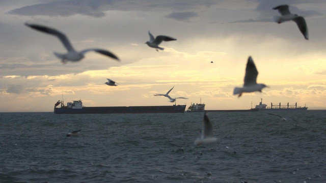 Marmara Denizi'nde ulaşıma lodos engeli