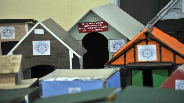 Öğrenciler soğukta kalan sokak hayvanları için kulübe yaptı