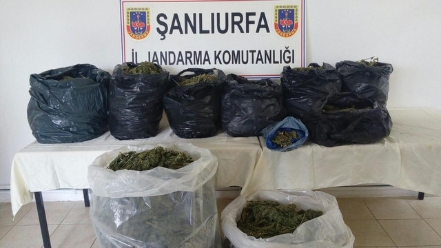Şanlıurfa'da uyuşturucu operasyonu