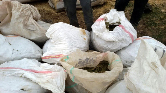 Şanlıurfa'da uyuşturucu operasyonu
