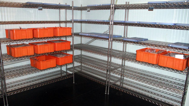 Soğuk hava kan bağışını da olumsuz etkiledi