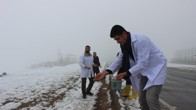 Soğuk havada sokak hayvanları unutulmadı