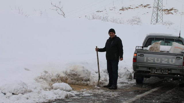 Yabani hayvanlar için doğaya yem bırakıldı