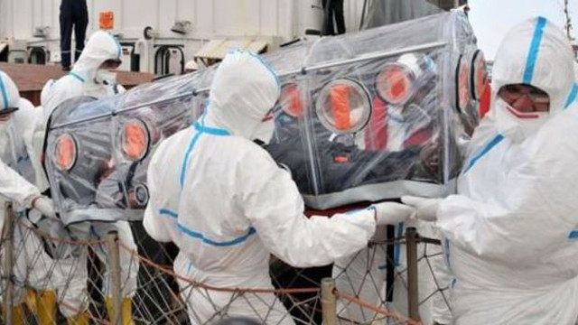 Domuz gribi Orduda can aldı!