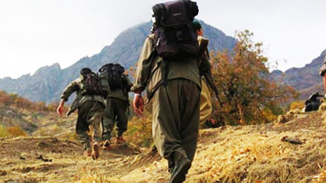 Hakkari Şemdinlide 1 terörist teslim oldu