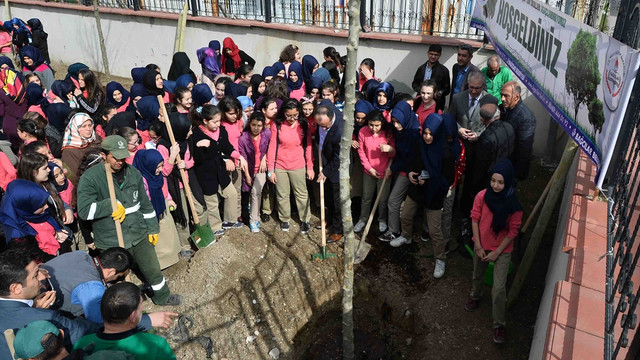 2016 Çınar Yılı projesi