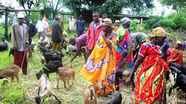 Burundi Anayasa Mahkemesi 15 muhalifin milletvekilliğini iptal etti