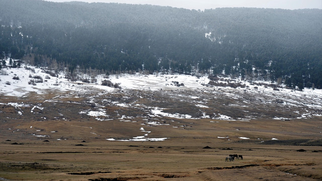 Doğu'da kar yağışı ve bahar havası bir arada