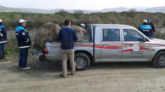 Aydın'da kaçak avcılıkla mücadele