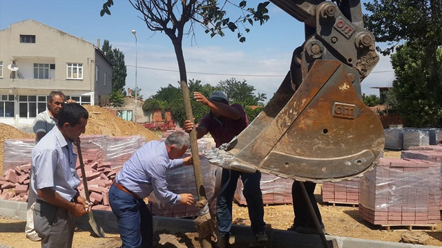 Bildirmeden ağaç kesmeye 160 lira ceza