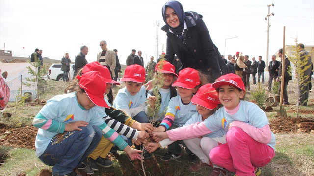 Bingöl'de 830 bin fidan toprakla buluşturuluyor