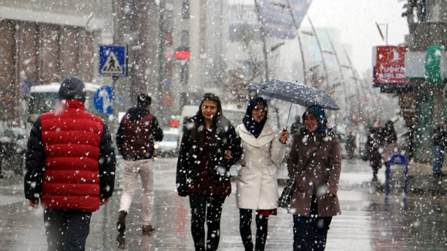Erzurum'da kar yağışı