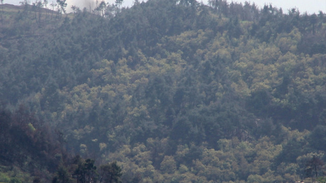 Suriye'deki iç savaş