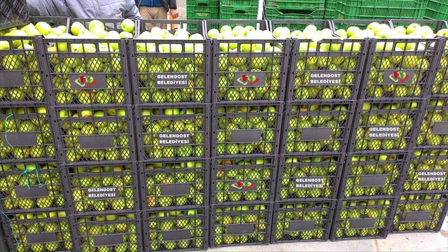 Güvenlik güçlerine 22 ton elma