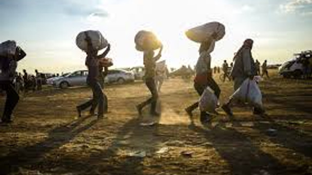 Yasa dışı geçiş girişiminde bulunan 252 mülteci yakalandı