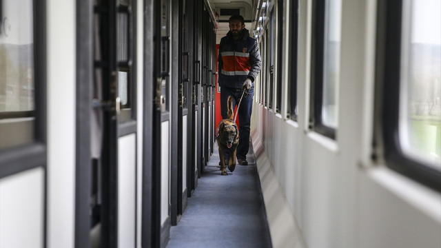 Jandarmadan Kurtalan Ekspresi'nde arama