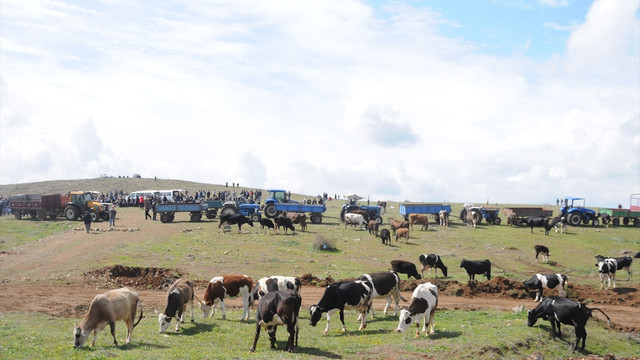 Kahramanmaraş'ta çadır kent gerginliği