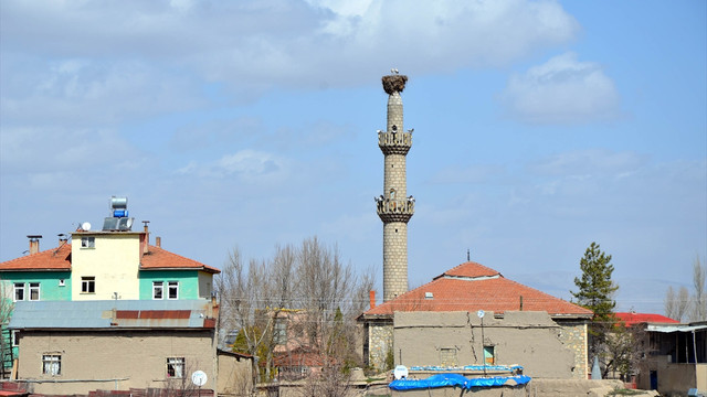 Minarenin 55 yıllık misafirleri döndü