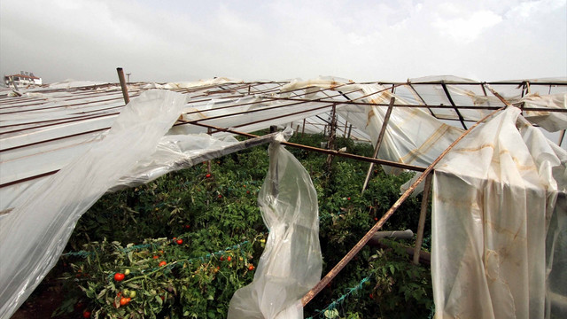 Muğla'da şiddetli rüzgar